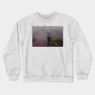 Big necked buck - White-tailed Deer Crewneck Sweatshirt